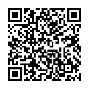 很多时候都是一些元婴初期修士拼死一年所挣的数量二维码生成