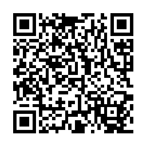 很多来自中域乃至外域的强者很轻易就能镇压禁古之界外域二维码生成