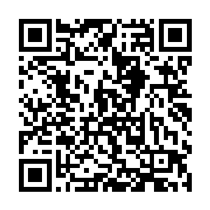 很多没有通过前二十的人现在也想要重新的试验一下二维码生成