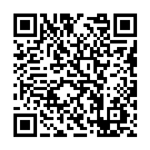 很多洗髓成功甚至坐照境的考生排着队等着被检验二维码生成