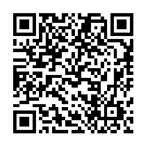 很多玩家看直播就是苦苦的期待贝拉说一下自己国家的语言二维码生成