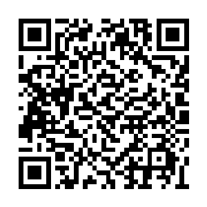 很多甚至于就是往生城周围的小城镇的世家子弟二维码生成