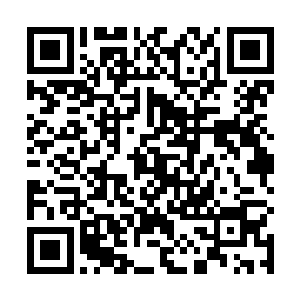 很多生物的名字都跟他们那里古时候的叫法一样或类似二维码生成