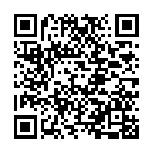 很多男性观众注意力自始至终都不在开幕式舞台上二维码生成