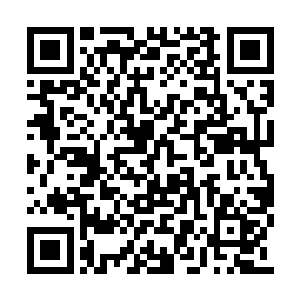 很多网友纷纷表示这绝逼是依靠演技的传统电影二维码生成