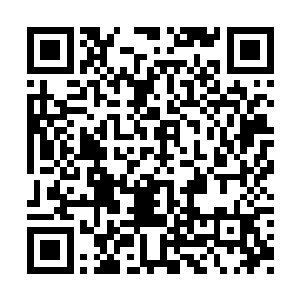 很多虫卵被播撒到了距离地面太近的浅层土壤里二维码生成