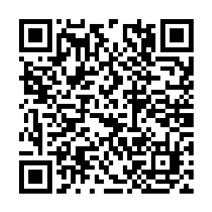 很多都是国外政党代表团或者知名人士来中国访问二维码生成