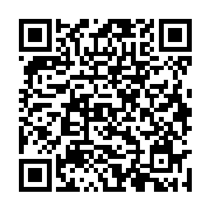 很多防卫军的高层正等着这个蠢货变成一颗大伊万二维码生成