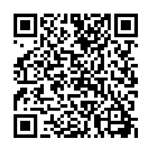 很大一部分原因还是在于李月茹平时对他们的好二维码生成