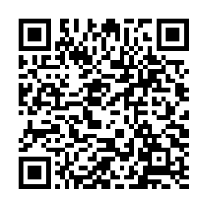 很大程度上会被圈内人下意识地定义为是另外一个五行吾素二维码生成