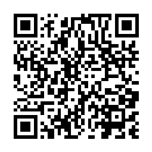 很大程度上都归功于北凉埋在蜀昭两地的各种死士棋子二维码生成