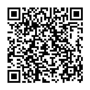 很奇妙但是贝海脑海中很清楚的意识到土狗是在问自己有什么活儿交给它去干二维码生成