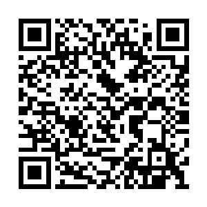 很容易被森林中的野兽毒虫以及各种危险抹杀掉二维码生成