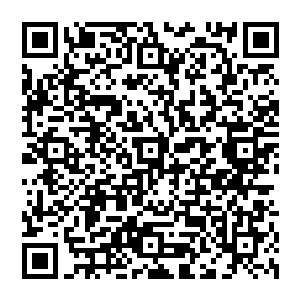 很少会引起别人注意的……而入口这里是通过一条数百米长的地下通道连接到地下工厂那边的二维码生成