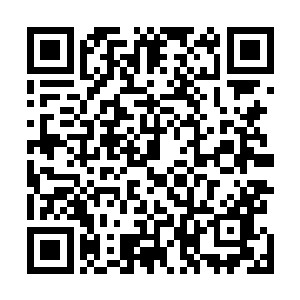 很少会有中医医生会把现成的一管一管的药剂推荐给病患二维码生成
