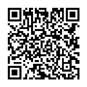 很少有人去琢磨和钻研其中的科学依据和道理的由来二维码生成