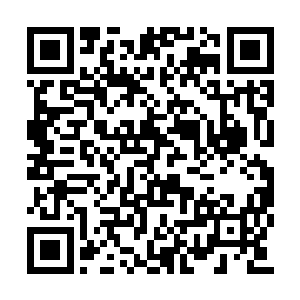 很少有什么大事能够惊动宗内所有问道大能齐聚二维码生成