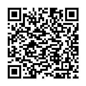 很少有古神的参与了――除了瘟疫之神那个唯恐天下不乱的家伙二维码生成