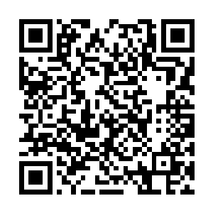 很少有这种机会让我们放心大胆拿人族大学士练手二维码生成