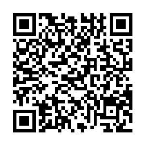 很快一位骑着龙闹海的哪吒三太子便活灵活现的出现了二维码生成