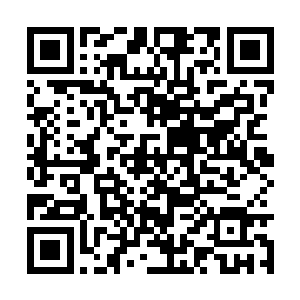 很快一副没有皮肉依附着的整套骸骨就呈现出来了二维码生成