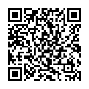 很快也将远征殿的成员还有其他围观的修士也镇压了二维码生成
