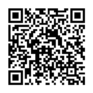 很快人族这边就制定出了和雷天一样的战斗方式来二维码生成