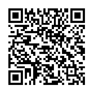 很快他们就听到周围的灌木丛中响起了簌簌的声音二维码生成