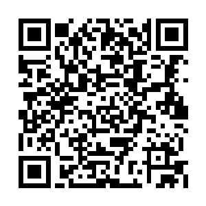 很快他们被运送到了事先准备好的一个安全屋内二维码生成