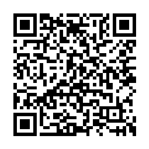 很快他便发现阴阳宫殿中多了一颗成人拳头大小二维码生成