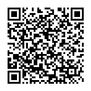 很快他就直接如数家珍一般的将大恶魔身上各部位的用途都讲述了一遍二维码生成