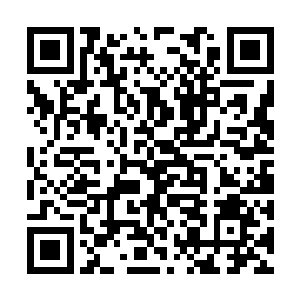 很快众人的信息全部都扫描到银河联盟的数据库中二维码生成