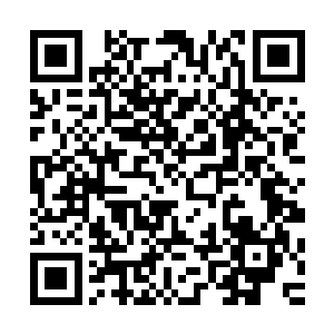 很快你的下场也会和你妹妹一样到时候不仅仅救不回来你妹妹二维码生成