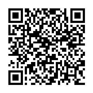 很快便从贺翠蓉那添油加醋的嘴里得知了事情的经过二维码生成