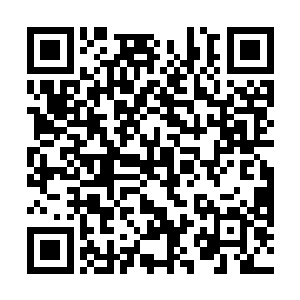 很快便将那些逃亡隐藏的三流家族中的大半给挖了出来二维码生成