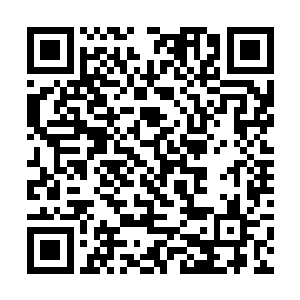 很快又发现了附近有十多个大小不等岛屿内都有幻境二维码生成