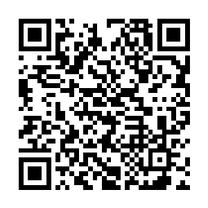 很快小烽哥哥就会让你在京城也能吃到这么多好吃的哦二维码生成