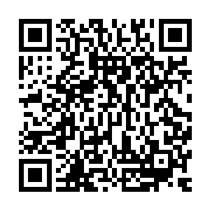 很快就会有几只地狱黑蜘蛛把同类的尸体拖到僻静阴暗的地方二维码生成