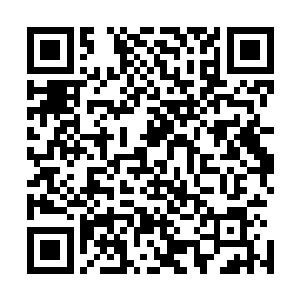 很快就到了吴国公府为盛国公归来举办的盛大洗尘筵的日子二维码生成