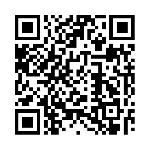 很快就制作了一期专栏对案件始末进行剖析二维码生成