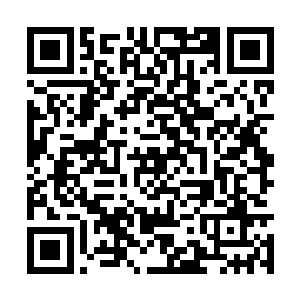 很快就在炸开的防御光幕缺口附近形成了一道壁垒二维码生成