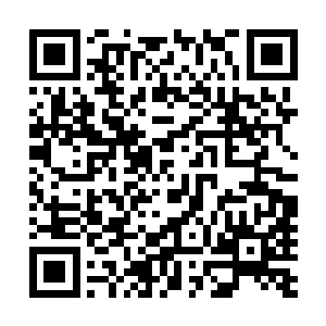 很快就宣布了柳逸尘成为天宏建材总经理和业务经理的任命二维码生成