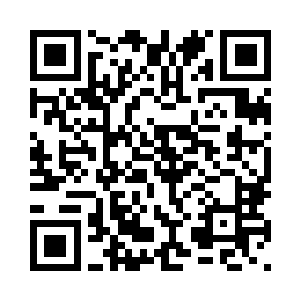 很快就将陈元昭面前的碗里堆满了二维码生成