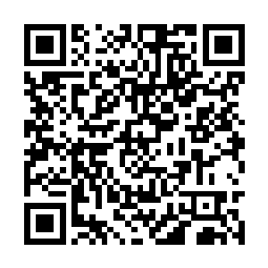 很快就得知了烈焰佣兵团的团长已经达到圣王境界二维码生成