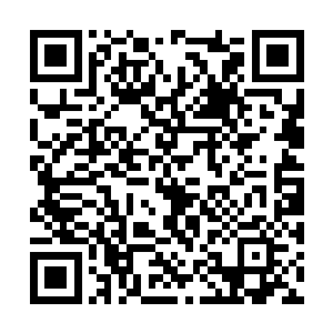 很快就打听出丁长生说的港澳台投资洽谈会的事情二维码生成