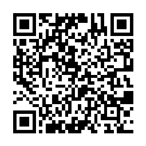 很快就有一位模样标致的女入走上前来接待李奇等入二维码生成