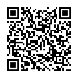 很快就有人开着一辆奔驰S600加长型到了杨家别墅门口二维码生成