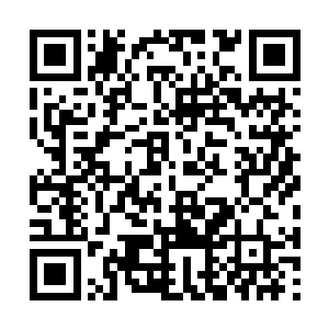 很快就看到不远处山坡上的山林中出来了一大群人二维码生成