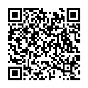 很快就看到了楚留香和胡铁花俩人闲闲地坐在客厅二维码生成