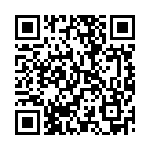 很快就让殿宇内的龟族所有强者过目二维码生成